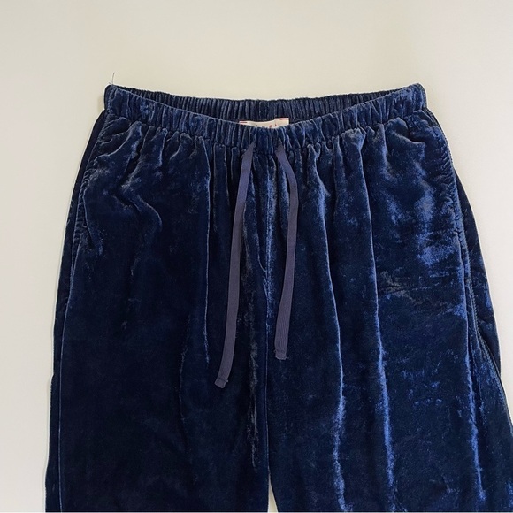 Xirena Dash Velvet Pull On Pant Sapphire Blue Small - Picture 12 of 16